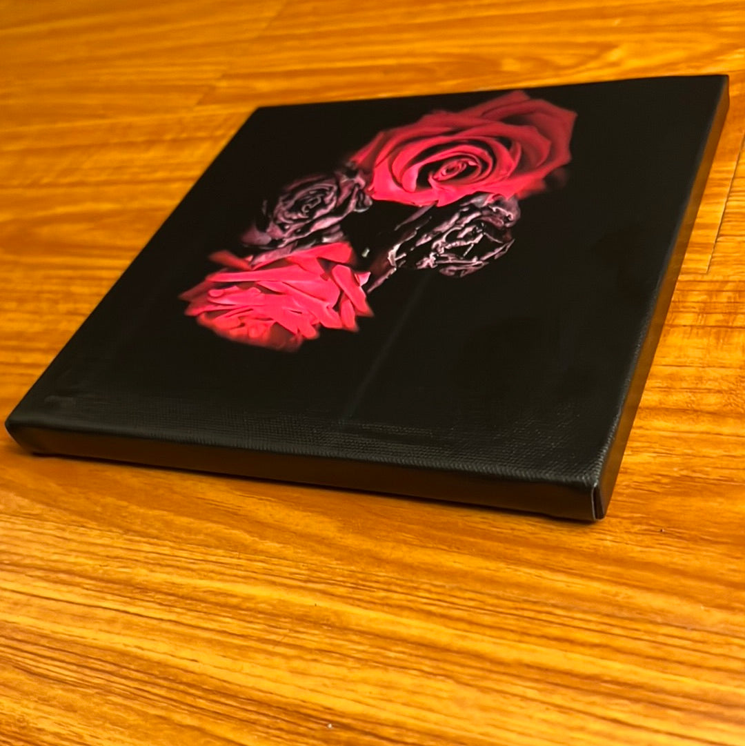 “Duality” Canvas