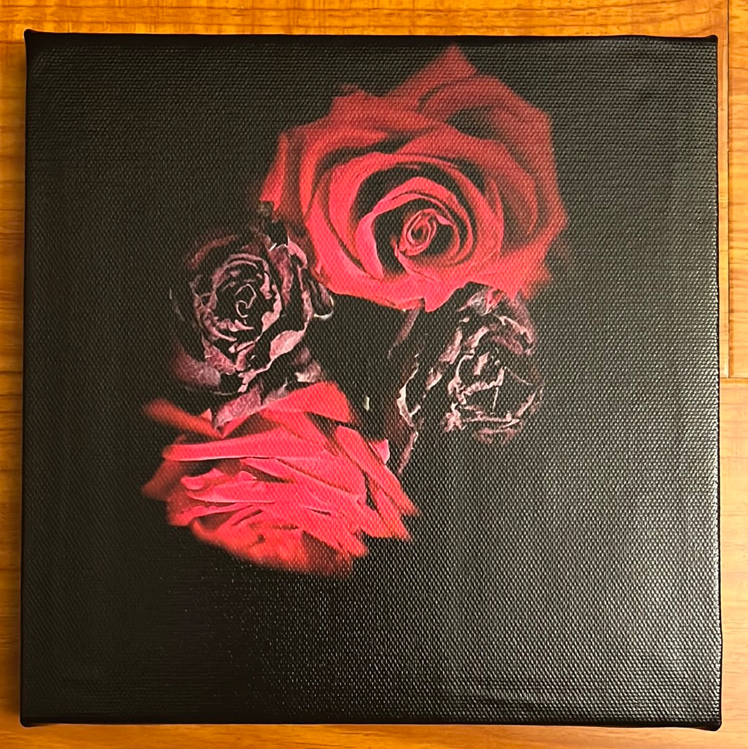 “Duality” Canvas
